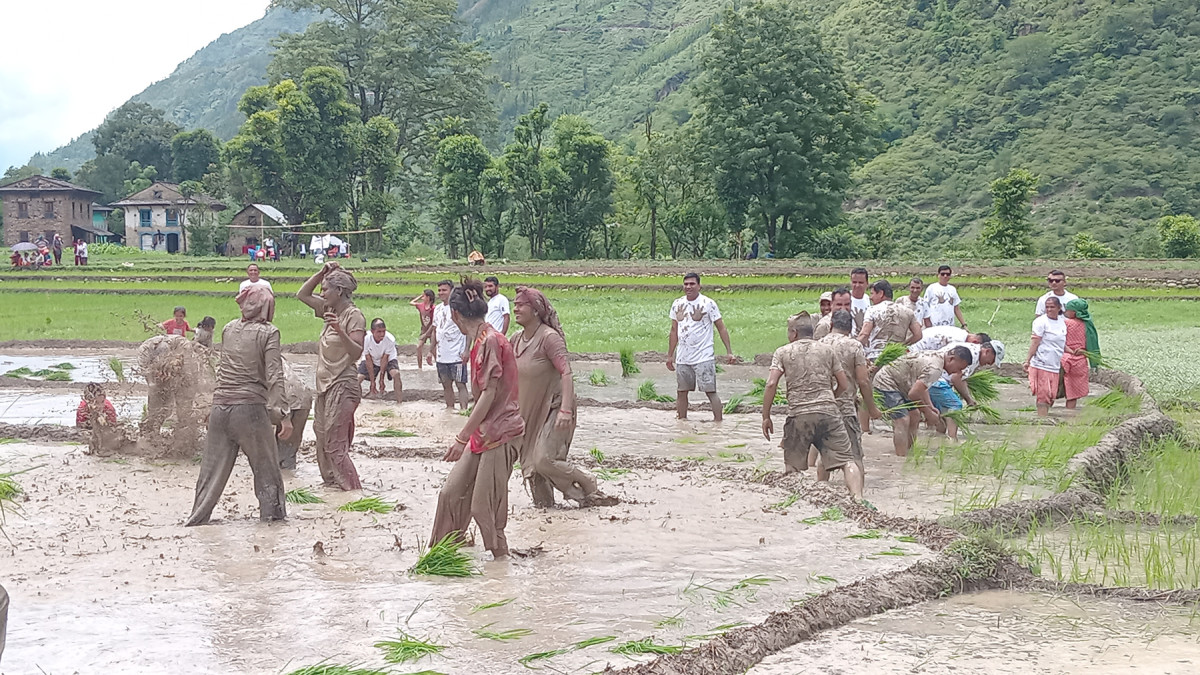 BalabhadurOli_TribeniRukumPachhim_RSS_15_20250629_131409.jpg