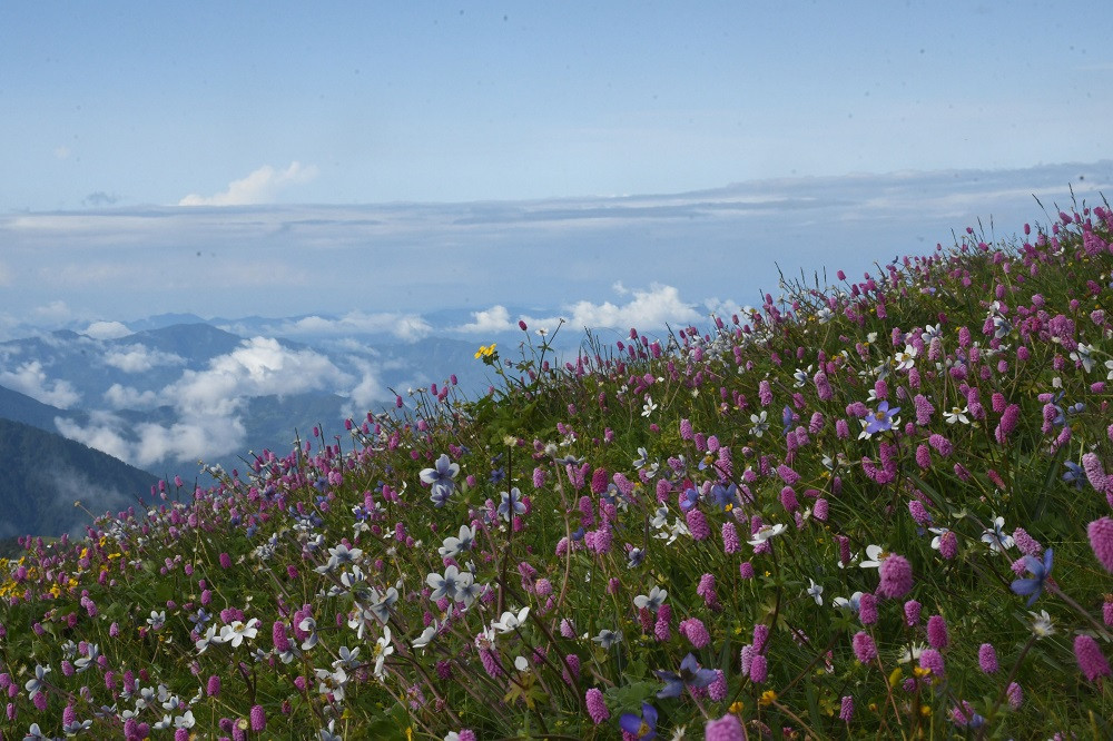 rukum3.jpg